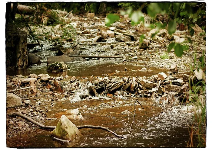 Manor House In Appartement